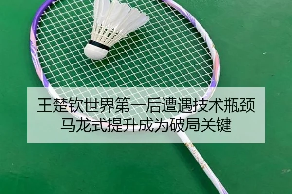 wang-chu-qin-shi-jie-di-yi-hou-zao-yu-ji-shu-ping-jing-ma-long-shi-ti-sheng-cheng-wei-po-ju-guan-jian-3-418.jpg