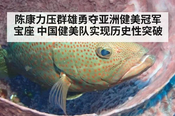 陈康力压群雄勇夺亚洲健美冠军宝座 中国健美队实现历史性突破