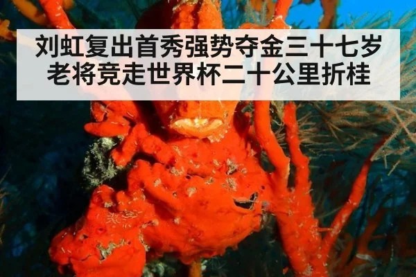 刘虹复出首秀强势夺金三十七岁老将竞走世界杯二十公里折桂